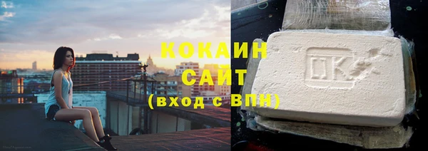 соль ск Абаза