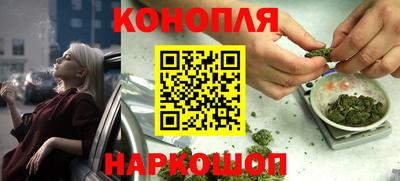 сатива Усть-Джегута