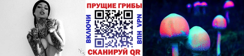 Псилоцибиновые грибы мицелий  купить  сайты  Алатырь 