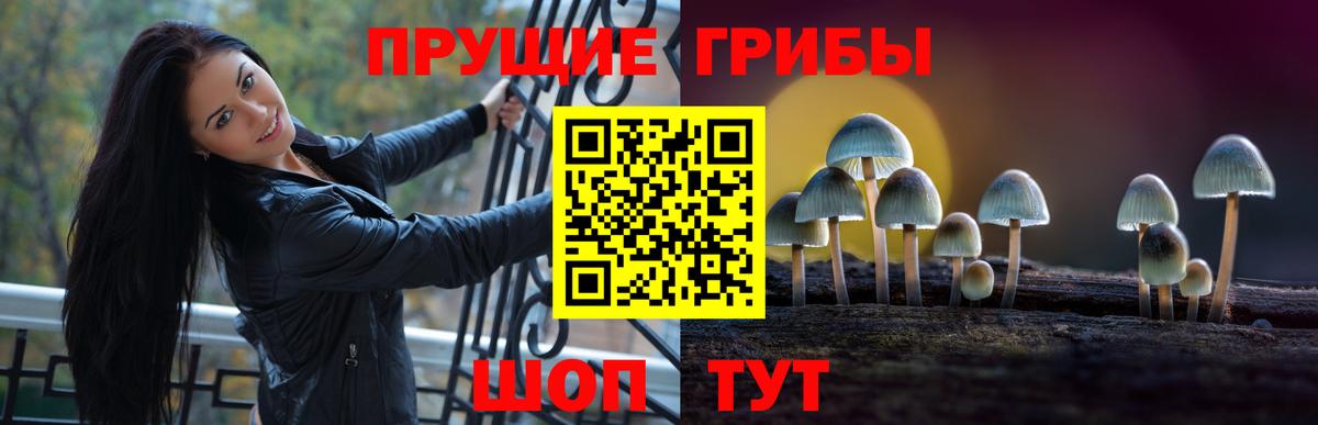 Псилоцибиновые грибы ЛСД Алатырь